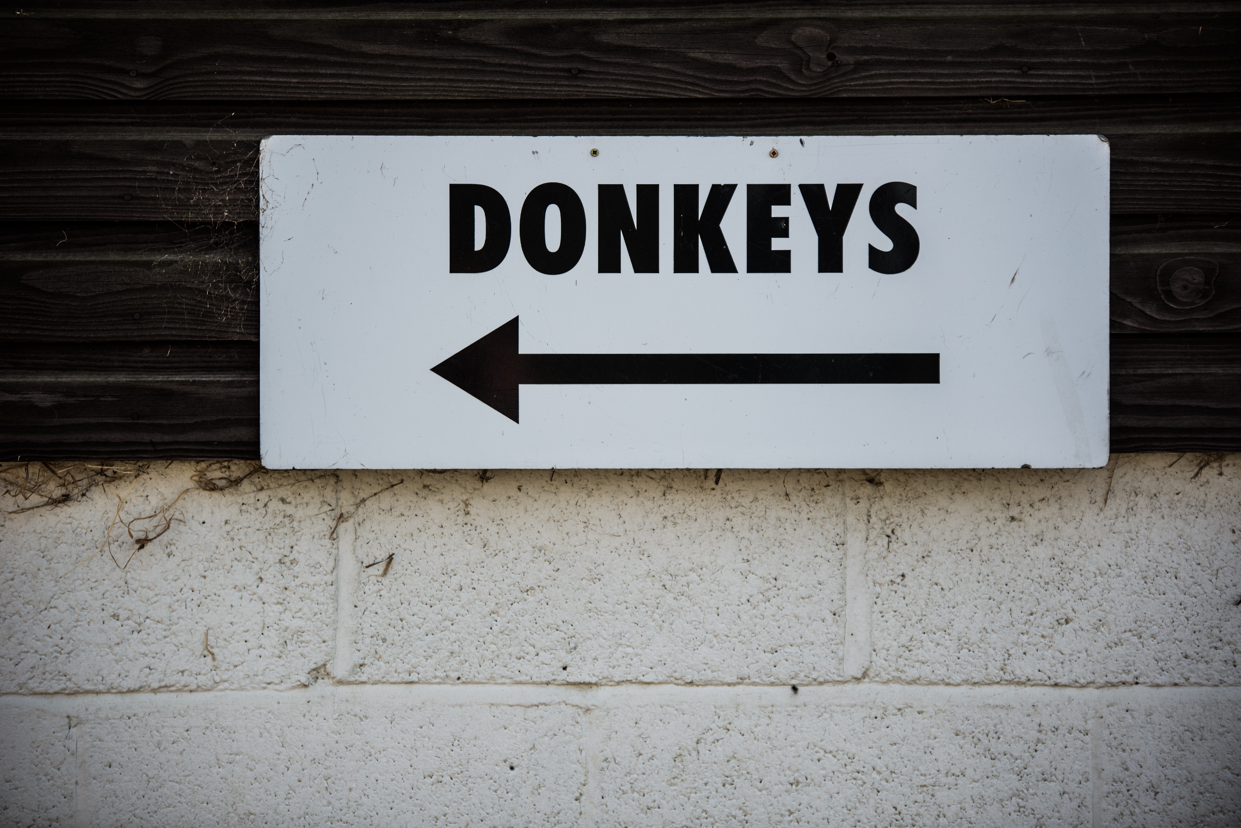 Sign with the word "DONKEYS" printed on it and an arrow pointing to the left.